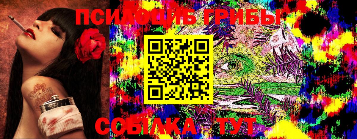 Петропавловск-Камчатский  Псилоцибиновые грибы Psilocybine cubensis  даркнет сайт  Галлюциногенные грибы GOLDEN TEACHER  Вход с VPN 