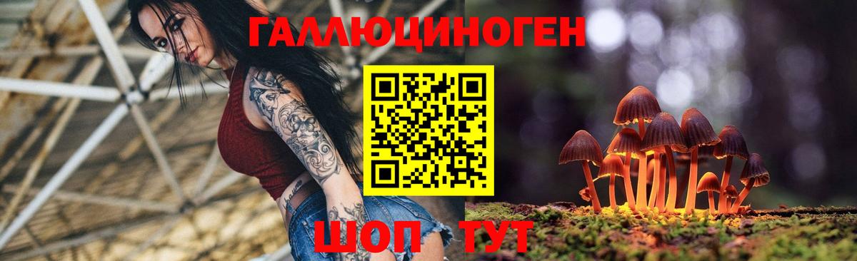 Псилоцибиновые грибы Magic Shrooms Петропавловск-Камчатский
